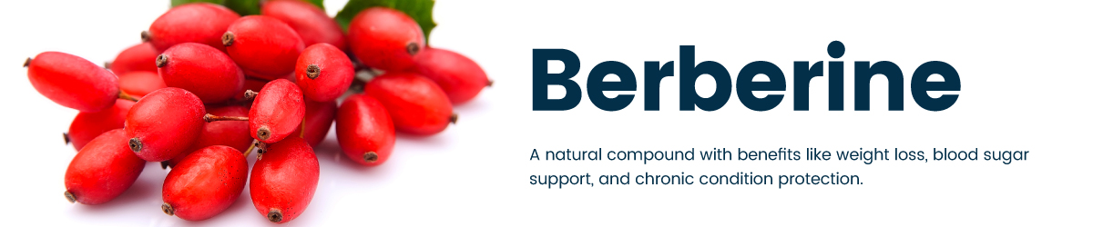 Bulk & Wholesale Berberine