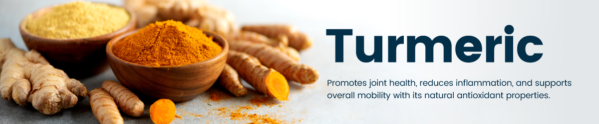 Bulk & Wholesale Turmeric