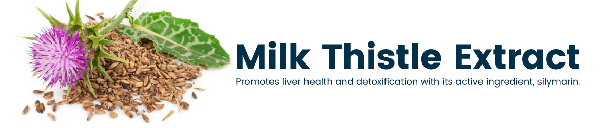 Bulk & Wholesale Milk Thistle Extract