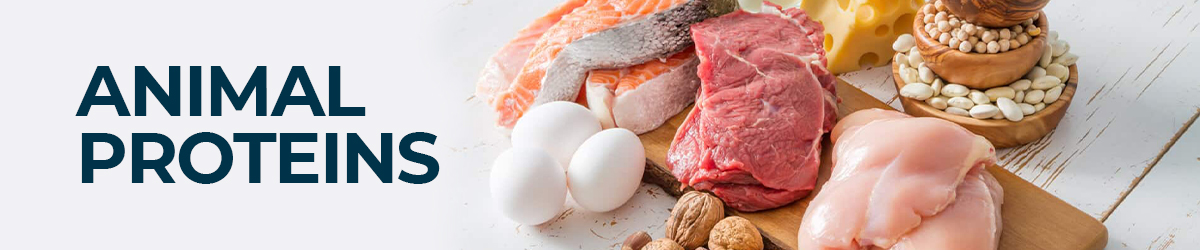 Animal Proteins