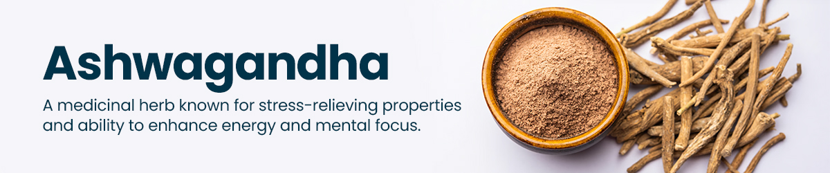 Bulk & Wholesale Ashwagandha