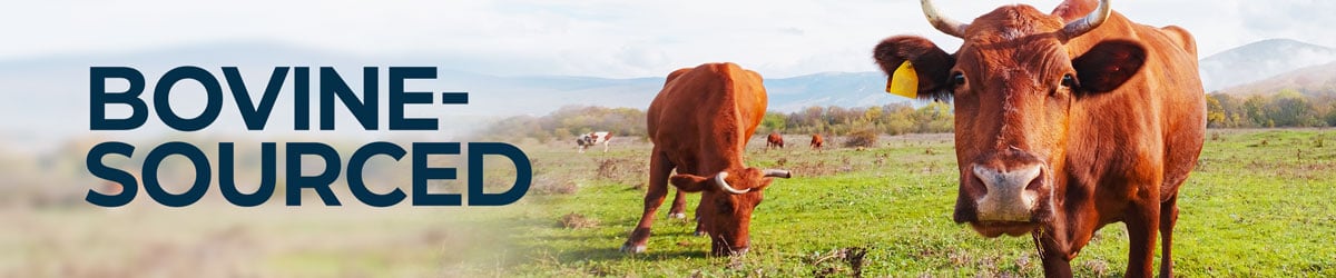 Bovine-Sourced