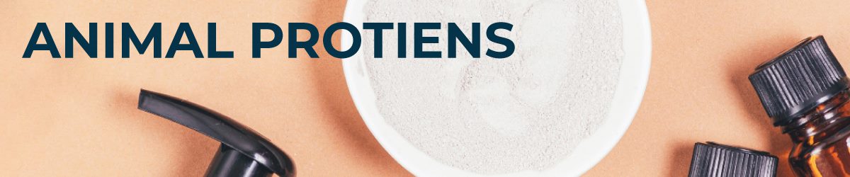 Animal Proteins