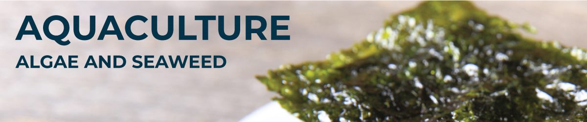 Algae & Seaweed