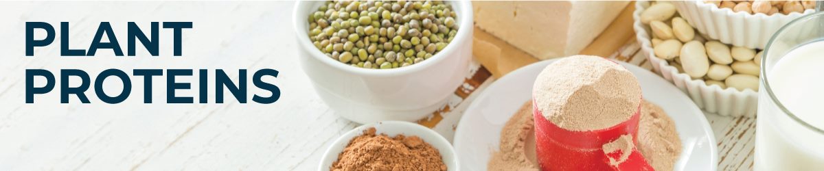 Plant Proteins