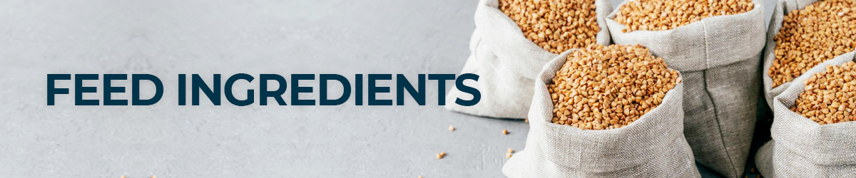 Feed Ingredients