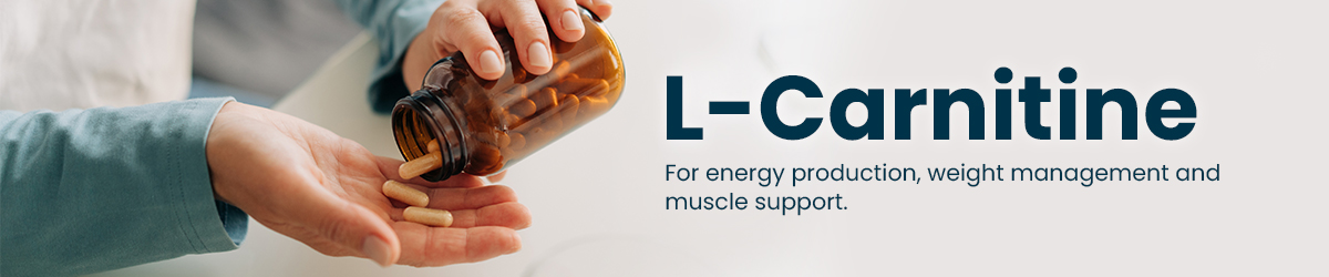 Bulk & Wholesale L-Carnitine