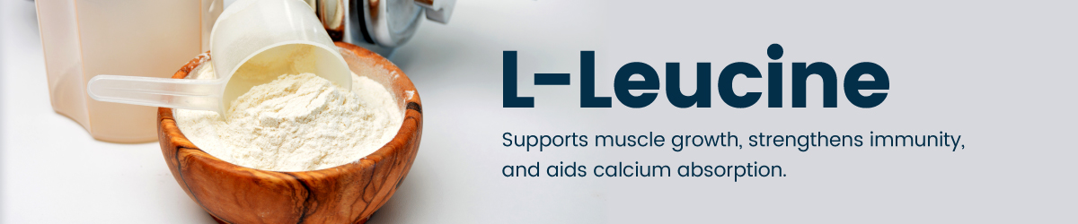 Bulk & Wholesale L-Leucine