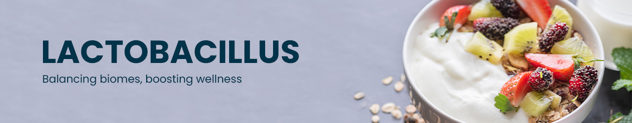 Bulk & Wholesale Lactobacillus