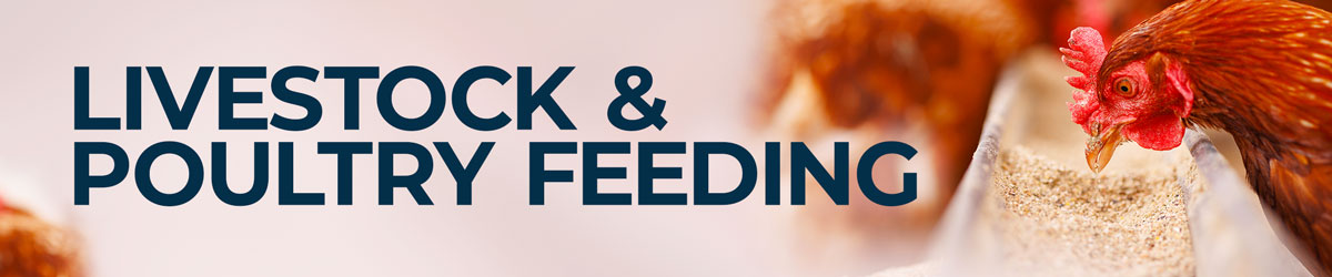 Livestock & Poultry Feeding