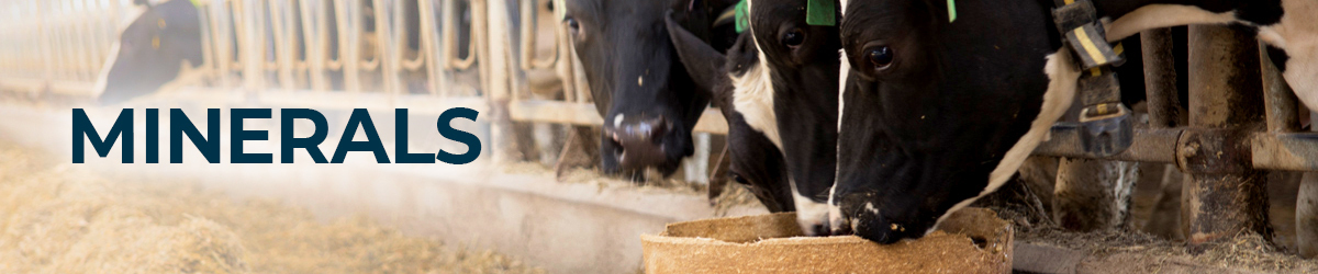 Minerals