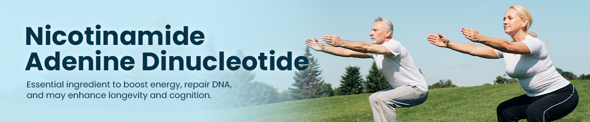 Bulk & Wholesale Nicotinamide Adenine Dinucleotide