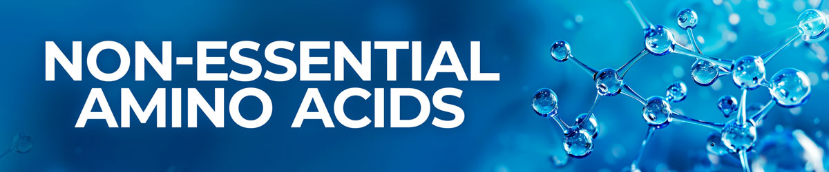 Non-Essential Amino Acids
