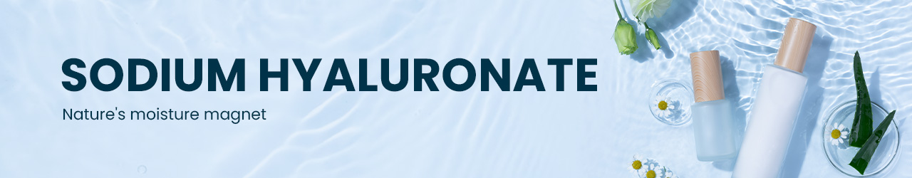 Bulk & Wholesale Sodium Hyaluronate