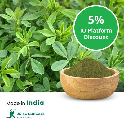 Alfalfa Powder Steam Treated, India by JK Botanicals