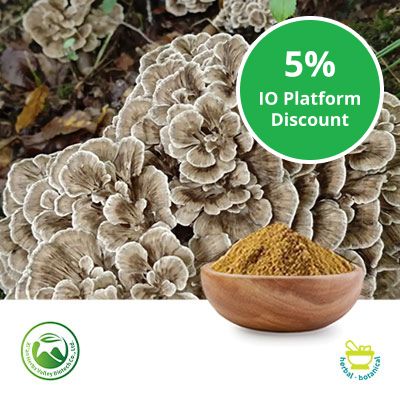 Maitake Mushroom Powder by Xi'an Herbs Valley