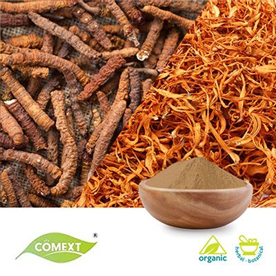 Organic Cordyceps Powder  by Comext