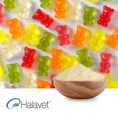 210 H 8 Pharmaceutical Grade Gelatin by Halavet Food Industry and Trade inc.