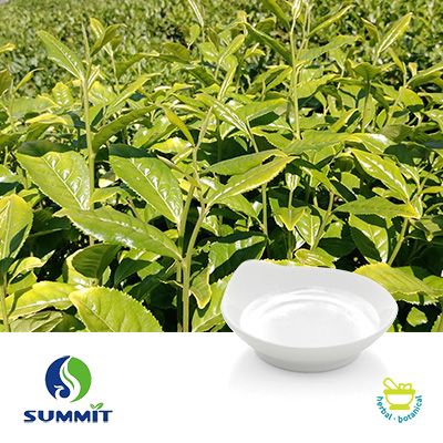 Tea Tree Oil Chinese Medium Grade by Summit Biotechnology (Xiamen) Ltd