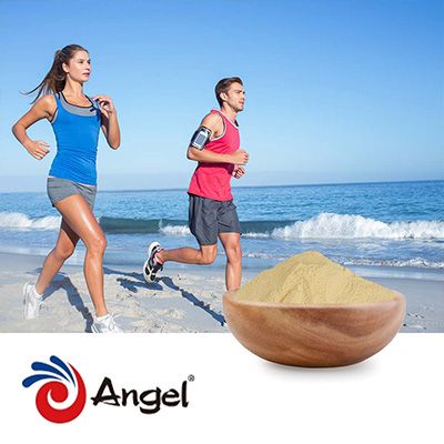 Angel Yeast Beta Glucan (1,3/1,6) 70% by Angel Yeast