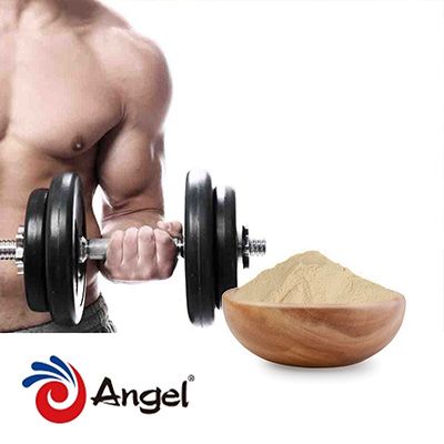 Yeast Protein 70% by Angel Yeast