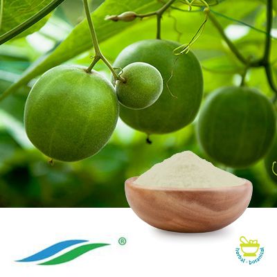 Monk Fruit Extract 50% Mogroside V by Hunan NutraMax