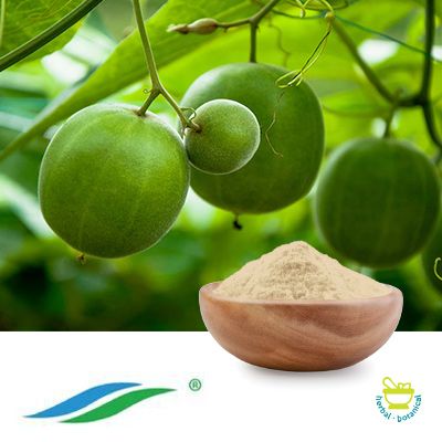 Monk Fruit Extract 40% Mogroside V by Hunan NutraMax