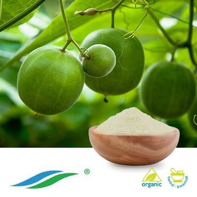 Organic Monk Fruit Extract 50% Mogroside V by Hunan NutraMax