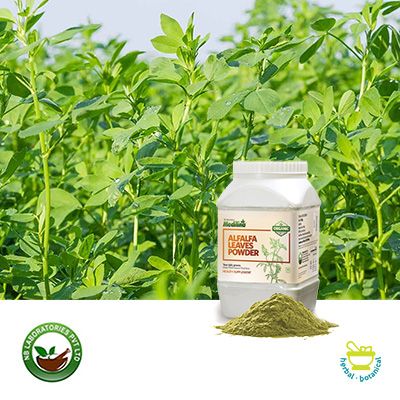 Alfalfa Powder by NB Laboratories