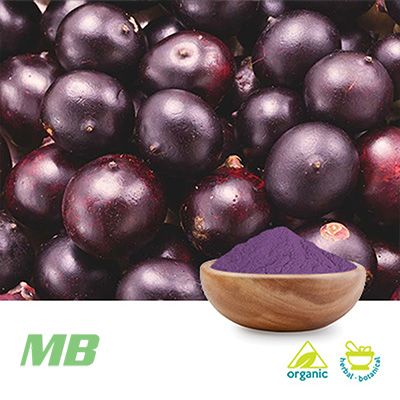 Acai Organic Powder by MB Supplements