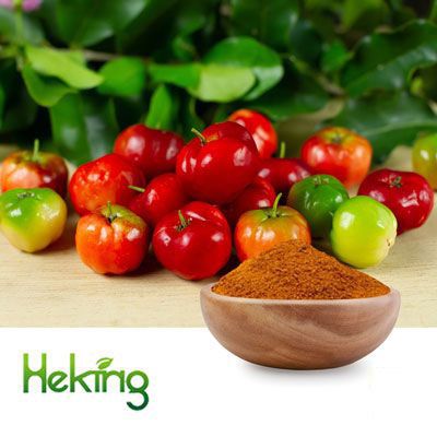 Acerola Cherry Extract 17%VC by Heking