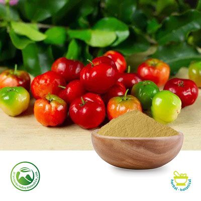 Acerola Cherry Extract 20~30% Vitamin C (10:1) by Xi'an Herbs Valley