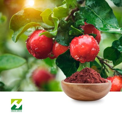 Acerola Extract 25% Vitamin C by Organic Herb Inc
