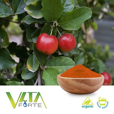 Freeze Dried Acerola Organic Powder 17-20% Vitamin C by Vita Forte, Inc