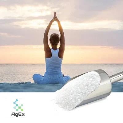 Acetyl L-Carnitine HCl by Aggarwwal Exports
