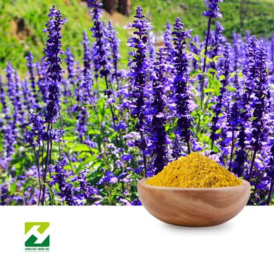 Ajuga Turkestanica Extract 10:1 by Organic Herb Inc