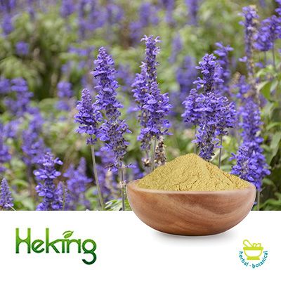 Ajuga Turkestanica Extract 2% Turkesterone by Heking