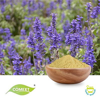 Ajuga Turkestanica Extract Turkesterone 10% by Comext