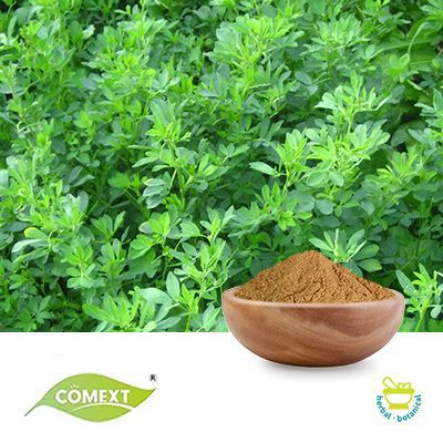 Alfalfa Extract 10:1 by Comext