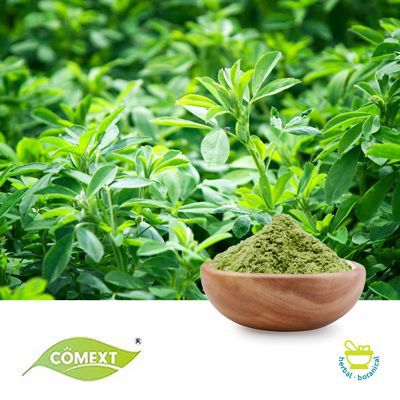 Alfalfa Powder by Comext