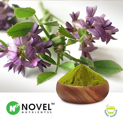 Alfalfa Powder by Novel Nutrientss