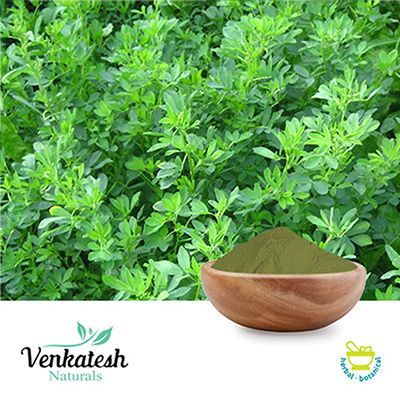 Alfalfa Powder by Venkatesh Naturals