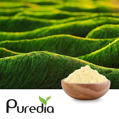 Algia™ DHA Powder 30% by Puredia USA