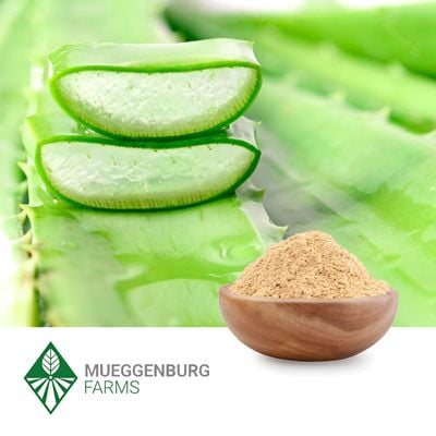 Aloe Cape, Powder by Mueggenburg USA