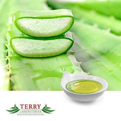 Aloe Vera Gel Decolorized 10x (Inner Leaf Squeezed) by Terry Laboratories