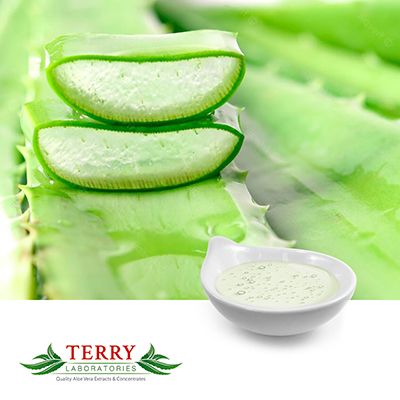 Aloe Vera Inner Leaf Gel Decolorized 1x from Concentrate by Terry Laboratories
