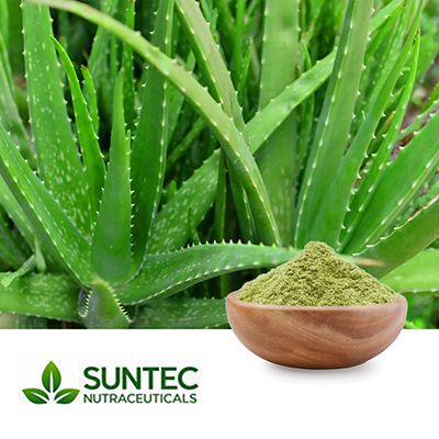Aloe Vera Juice Powder by Suntec Nutraceuticals