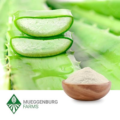 Aloe Vera Powder by Mueggenburg USA