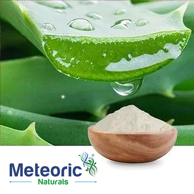 Aloe Vera Extract 200X Powder by Meteoric Naturals