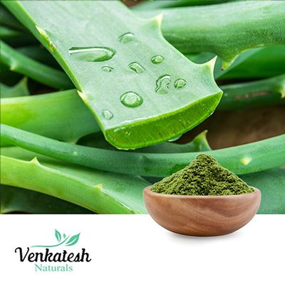 Aloe Vera Powder by Venkatesh Naturals